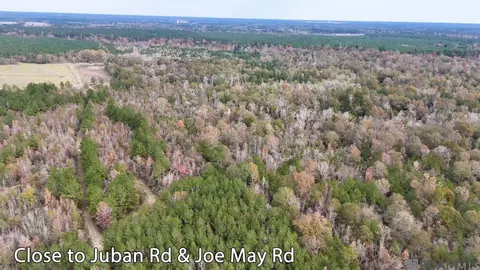 tbd 1 Joe May Rd, Denham Springs, LA 70726