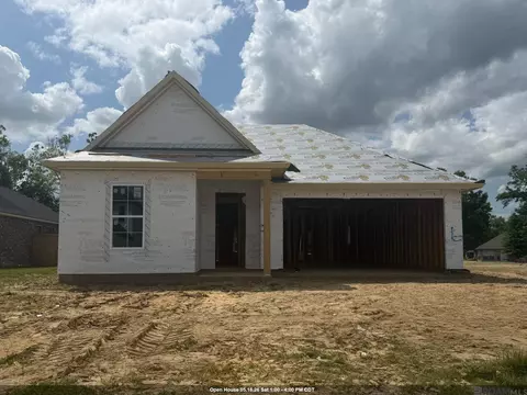 12089 Clare Ct, Geismar, LA 70734