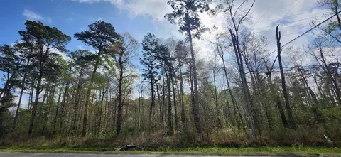 Tract A-4 Reinninger Rd, Denham Springs, LA 70706