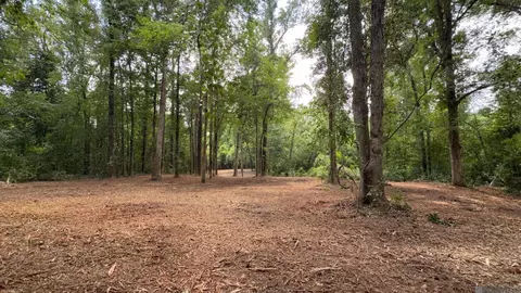Tract X-1 Scott Barr Rd, Slaughter, LA 70777
