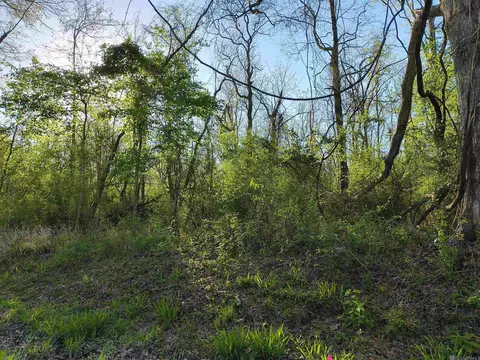 tbd Brian Rd, Jackson, LA 70748 photo 5