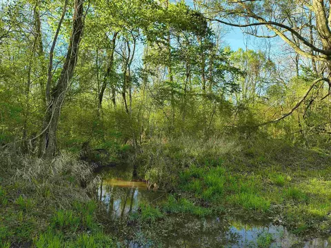 tbd Brian Rd, Jackson, LA 70748 photo 6