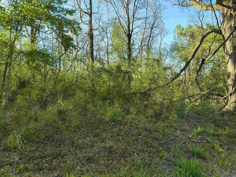 tbd Brian Rd, Jackson, LA 70748 photo 8