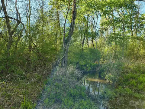 tbd Brian Rd, Jackson, LA 70748 photo 2