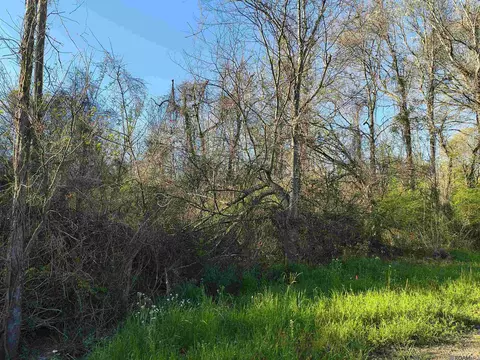 tbd Brian Rd, Jackson, LA 70748 photo 4