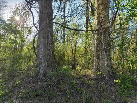 tbd Brian Rd, Jackson, LA 70748 photo 3