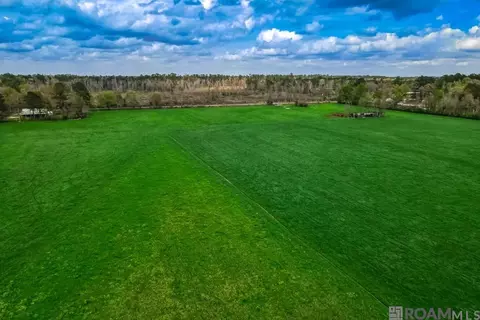 La Hwy 1063, Independence, LA 70443