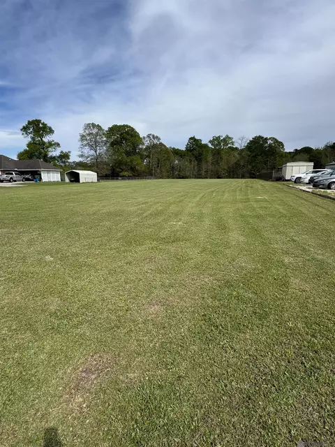 31316 N Corbin Rd, Walker, LA 70785