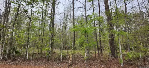 lot A-1 Lod Stafford Rd, Walker, LA 70785