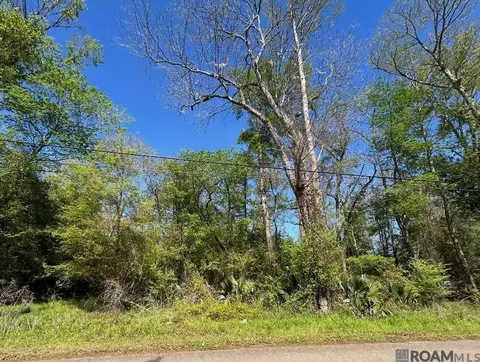 lot23 La Trace Rd, Livingston, LA 70754