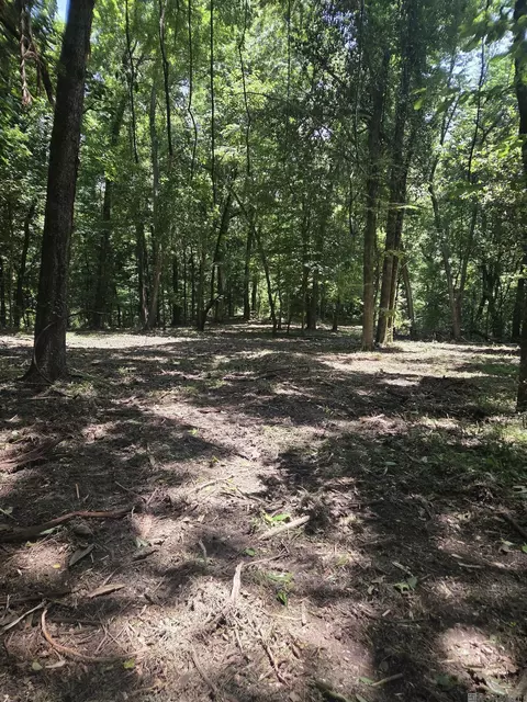 tbd Ouida Irondale Rd, Saint Francisville, LA 70775