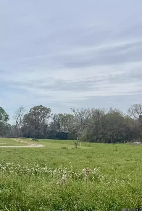 tbd Oakland Rd, Lakeland, LA 70752