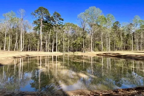 25 Lillian Ln, Ethel, LA 70730