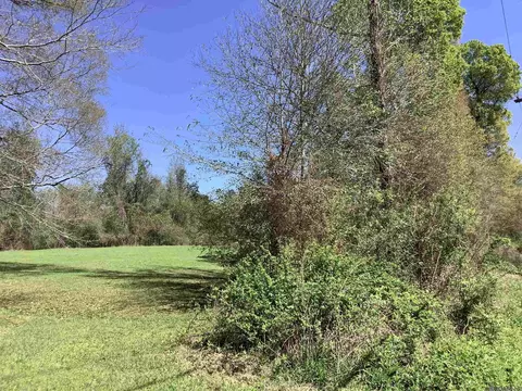 19 4 Acres Fountain Young Rd, Pine Grove, LA 70456