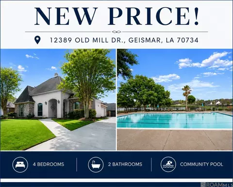 12389 Old Mill Dr, Geismar, LA 70734