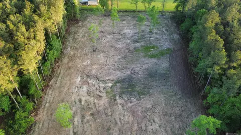 21154 Butterbean Rdg, Livingston, LA 70754