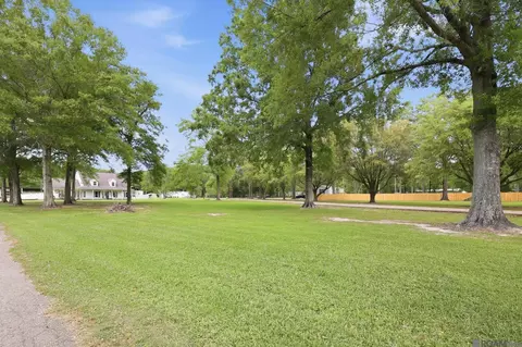 Exterior - 29725 Henderson Ln, Walker, LA 70785 photo 11 of 17