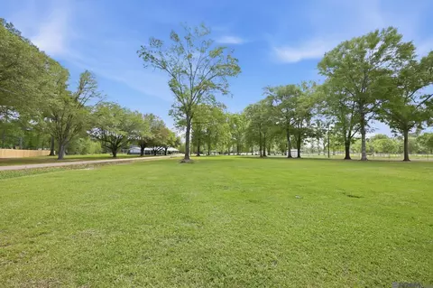 Exterior - 29725 Henderson Ln, Walker, LA 70785 photo 13 of 17
