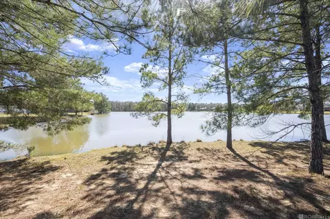 View/Area - 12480 Three Lakes Dr, Walker, LA 70785 photo 1 of 2