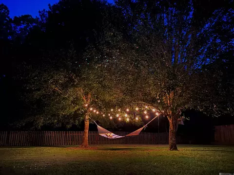 14160 Twelve Oaks Dr, Walker, LA 70785