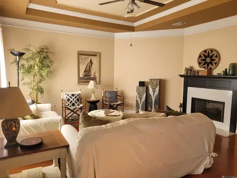 Living - 14329 Madison Oaks Blvd, Walker, LA 70785 photo 1 of 1