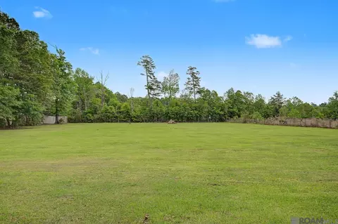 Exterior - 34062 Duff Rd, Walker, LA 70785 photo 14 of 16