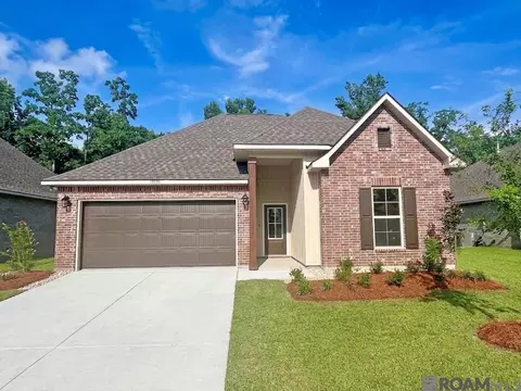 13056 Ducks Landing St, Gonzales, LA 70737
