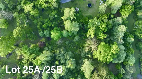17007 Summerfield South Rd, Prairieville, LA 70769