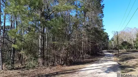 Tract A & B Mcclendon Ln, Amite, LA 70422