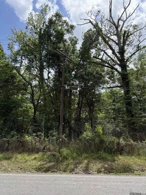 tbd Bayou Narcisse, Gonzales, LA 70737