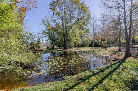 20452 Camille Dr, Springfield, LA 70462 photo 30