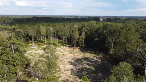 12663 Arcola Rd, Roseland, LA 70456