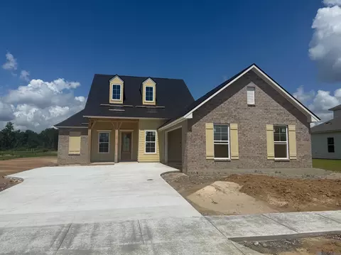 37273 Cattle Ave, Prairieville, LA 70769