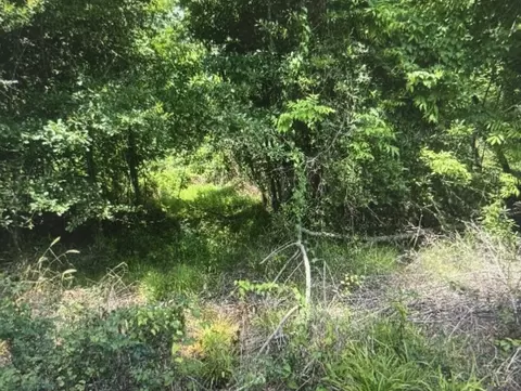 lot139 Amite River Rd, Baton Rouge, LA 70817