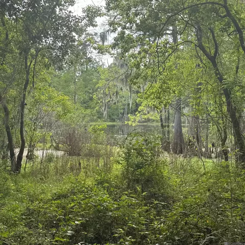 lot137 Amite River Rd, Baton Rouge, LA 70817
