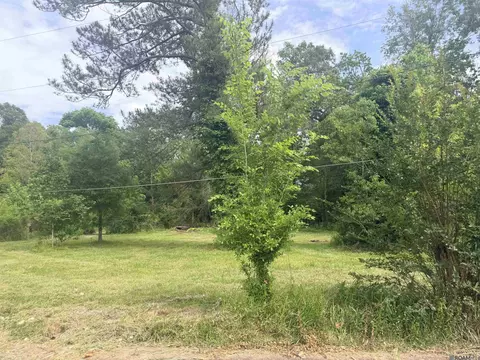 14324 Howard Thomas Rd, Walker, LA 70785 photo 3