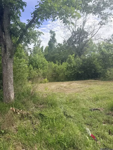 14324 Howard Thomas Rd, Walker, LA 70785 photo 15