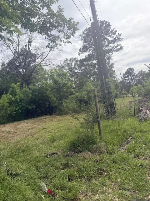 14324 Howard Thomas Rd, Walker, LA 70785 photo 13