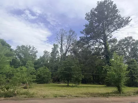 14324 Howard Thomas Rd, Walker, LA 70785 photo 4