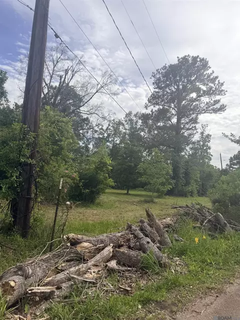 14324 Howard Thomas Rd, Walker, LA 70785 photo 12