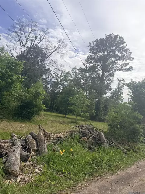14324 Howard Thomas Rd, Walker, LA 70785 photo 11