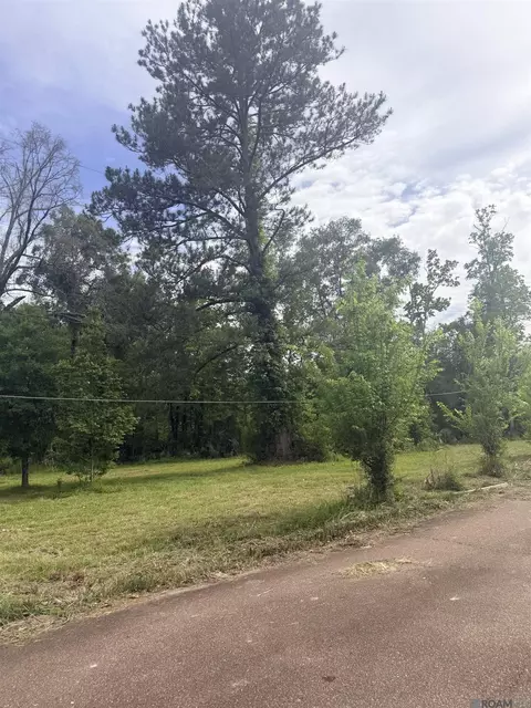 14324 Howard Thomas Rd, Walker, LA 70785 photo 9