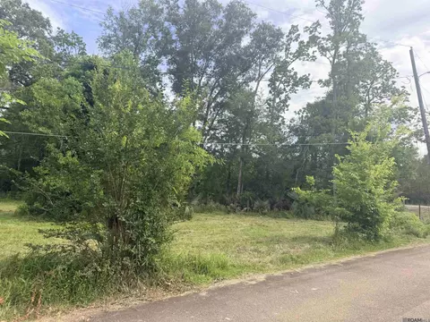 14324 Howard Thomas Rd, Walker, LA 70785 photo 5