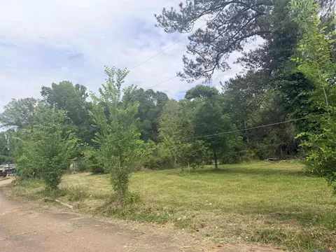 14324 Howard Thomas Rd, Walker, LA 70785 photo 6