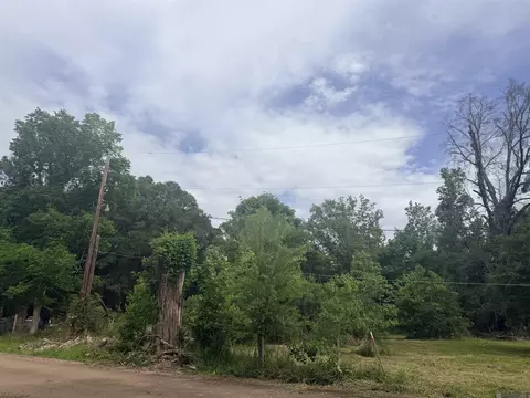 14324 Howard Thomas Rd, Walker, LA 70785 photo 8