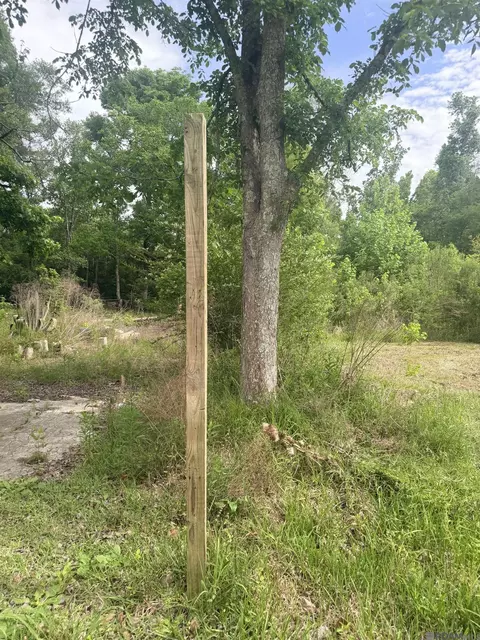 14324 Howard Thomas Rd, Walker, LA 70785 photo 14