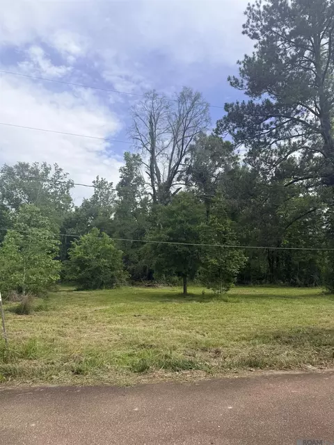 14324 Howard Thomas Rd, Walker, LA 70785 photo 2