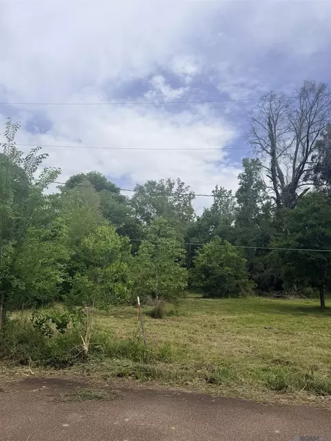14324 Howard Thomas Rd, Walker, LA 70785 photo 10
