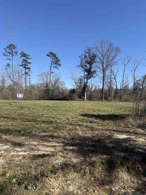 lot5 Music Ln, Springfield, LA 70462
