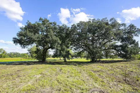9782 W Feliciana Pkwy, Saint Francisville, LA 70775